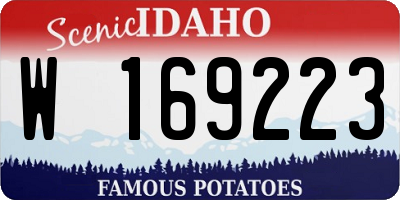 ID license plate W169223