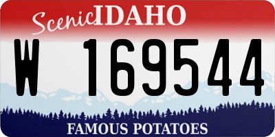 ID license plate W169544