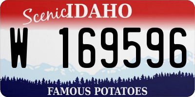 ID license plate W169596