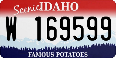 ID license plate W169599