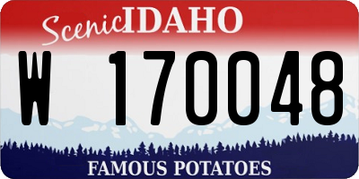 ID license plate W170048
