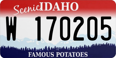 ID license plate W170205