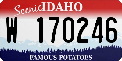 ID license plate W170246