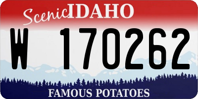 ID license plate W170262