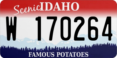 ID license plate W170264