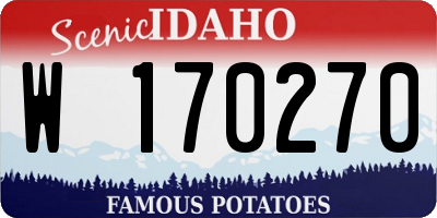 ID license plate W170270