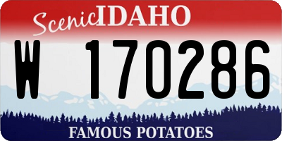 ID license plate W170286