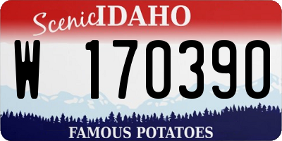 ID license plate W170390