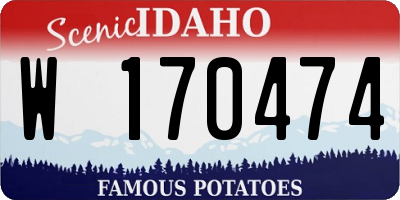 ID license plate W170474
