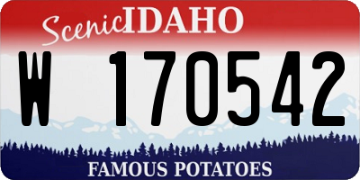 ID license plate W170542