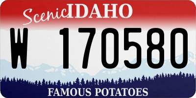 ID license plate W170580