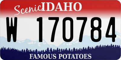 ID license plate W170784