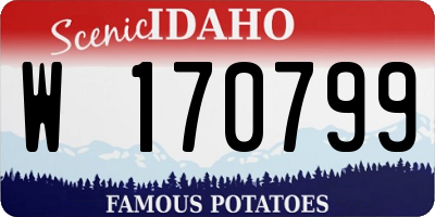ID license plate W170799