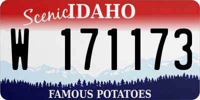 ID license plate W171173