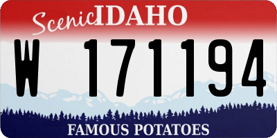 ID license plate W171194