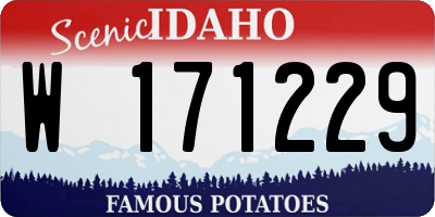 ID license plate W171229