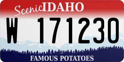 ID license plate W171230