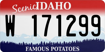 ID license plate W171299