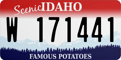 ID license plate W171441