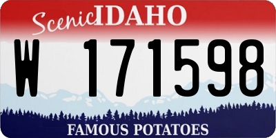 ID license plate W171598