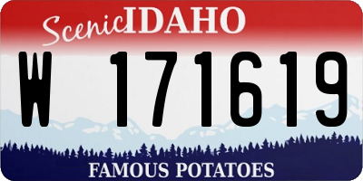 ID license plate W171619