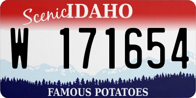 ID license plate W171654