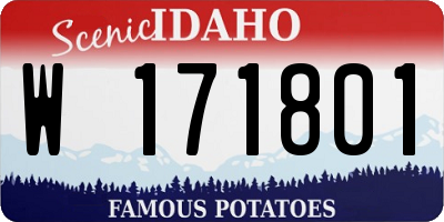 ID license plate W171801