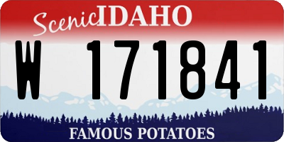 ID license plate W171841