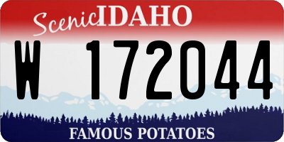 ID license plate W172044