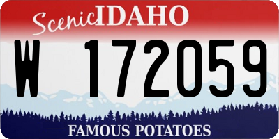 ID license plate W172059