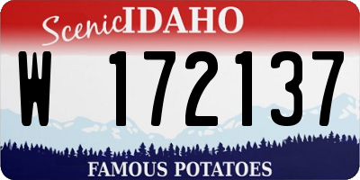 ID license plate W172137