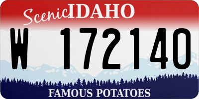 ID license plate W172140