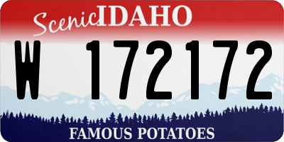 ID license plate W172172