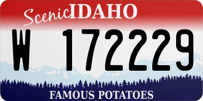 ID license plate W172229