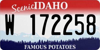ID license plate W172258