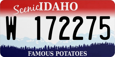 ID license plate W172275