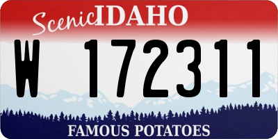 ID license plate W172311