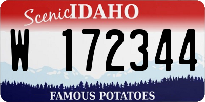 ID license plate W172344