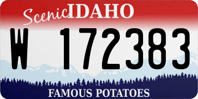 ID license plate W172383