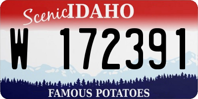 ID license plate W172391