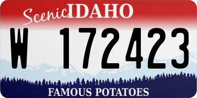 ID license plate W172423