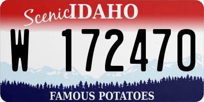 ID license plate W172470