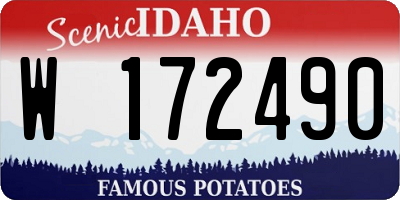 ID license plate W172490