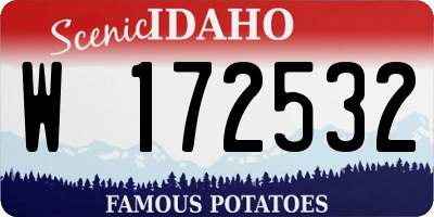 ID license plate W172532
