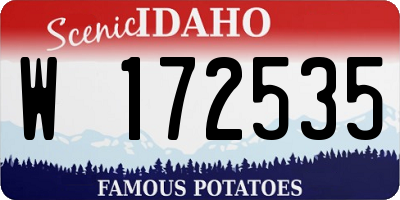 ID license plate W172535