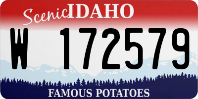 ID license plate W172579