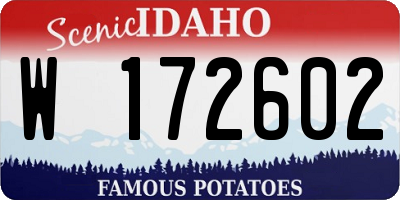 ID license plate W172602
