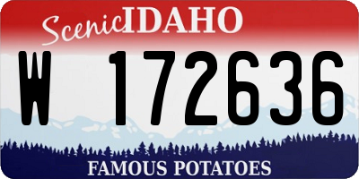 ID license plate W172636