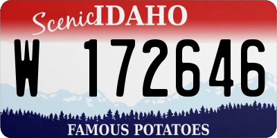 ID license plate W172646