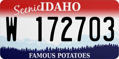 ID license plate W172703